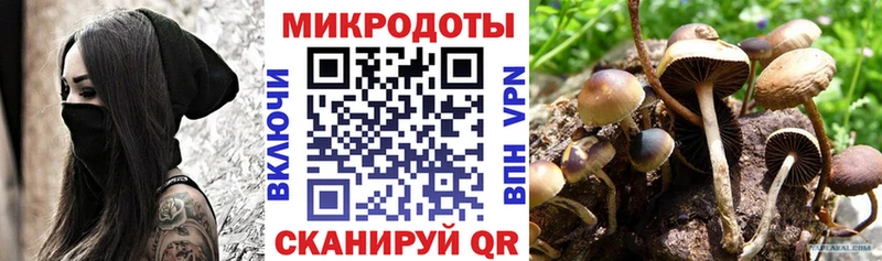Псилоцибиновые грибы мухоморы  Купить  Куса 