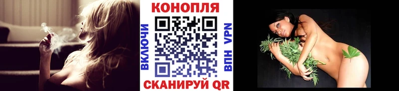 Купить где  Куса  Конопля SATIVA & INDICA 
